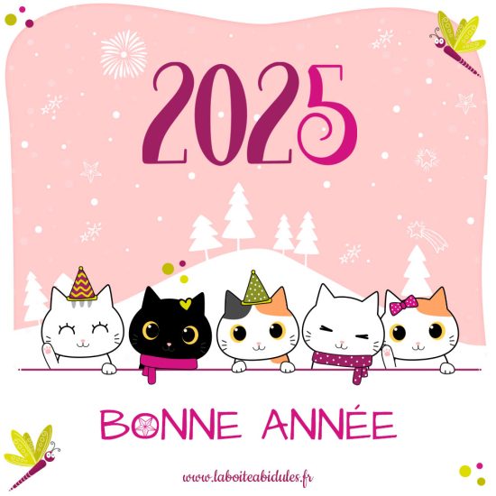 Voeux 2025